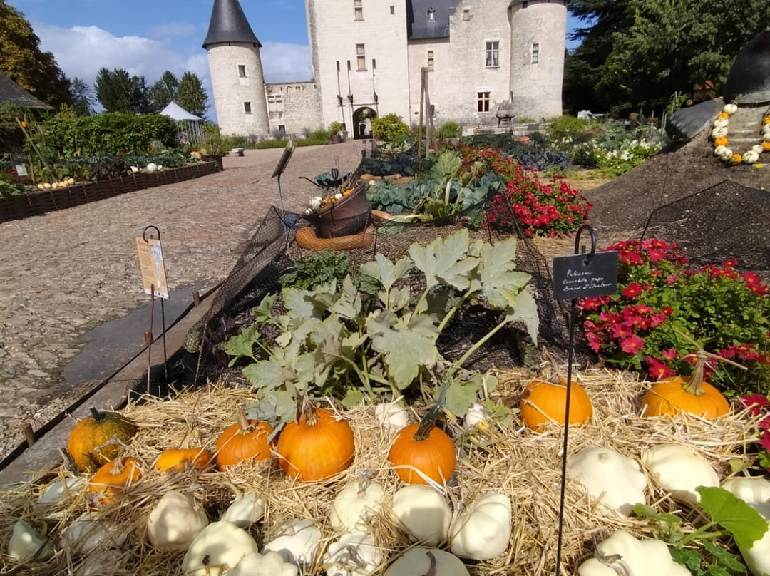 Château du Rivau-Lemere必去景点