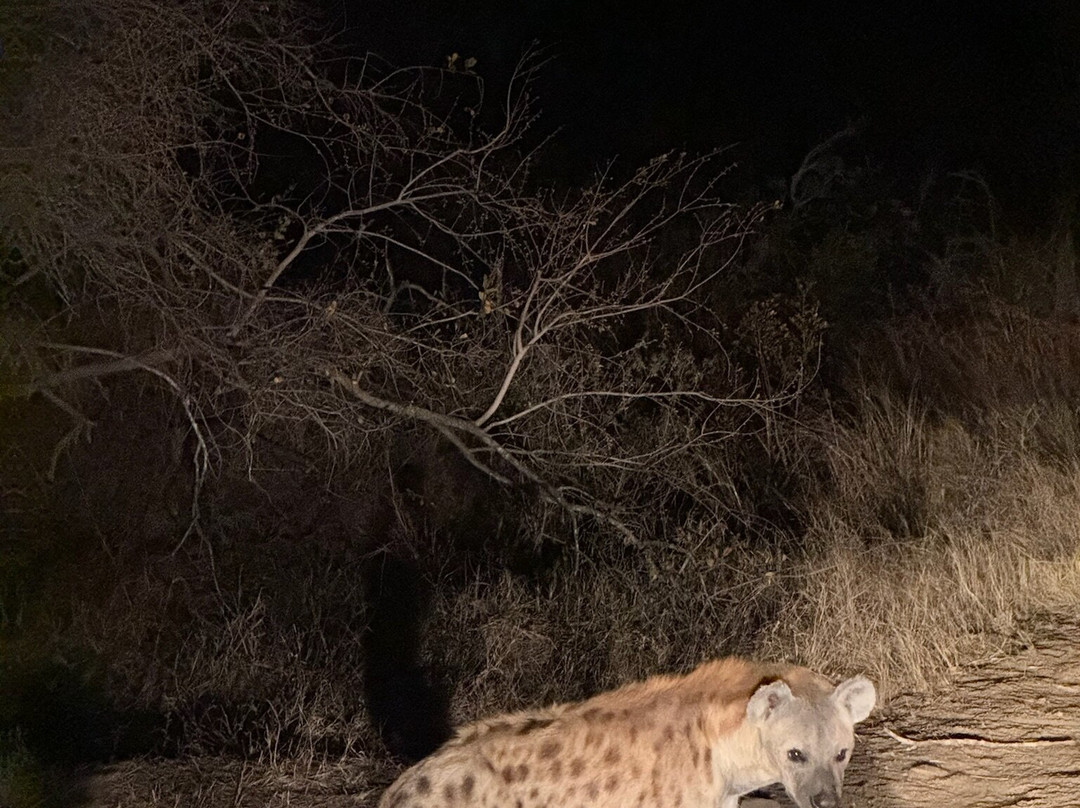 GAP Tours & Transfers-雾观必去景点