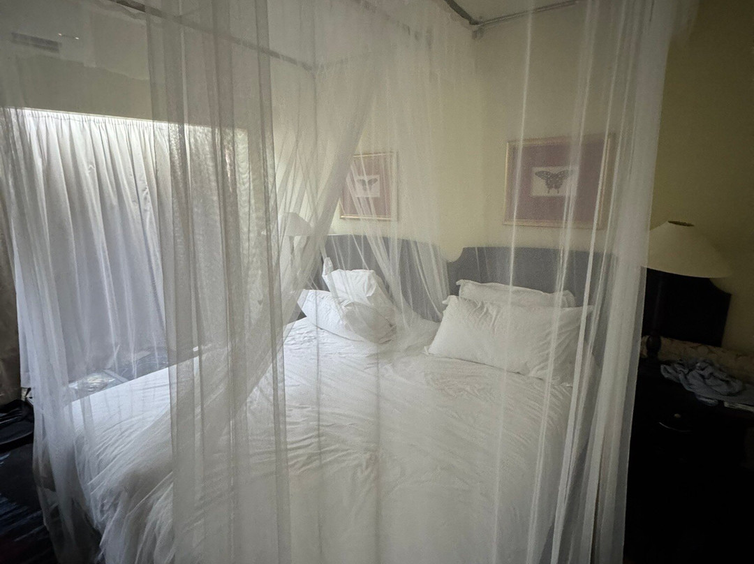 Sunbird Capital主图