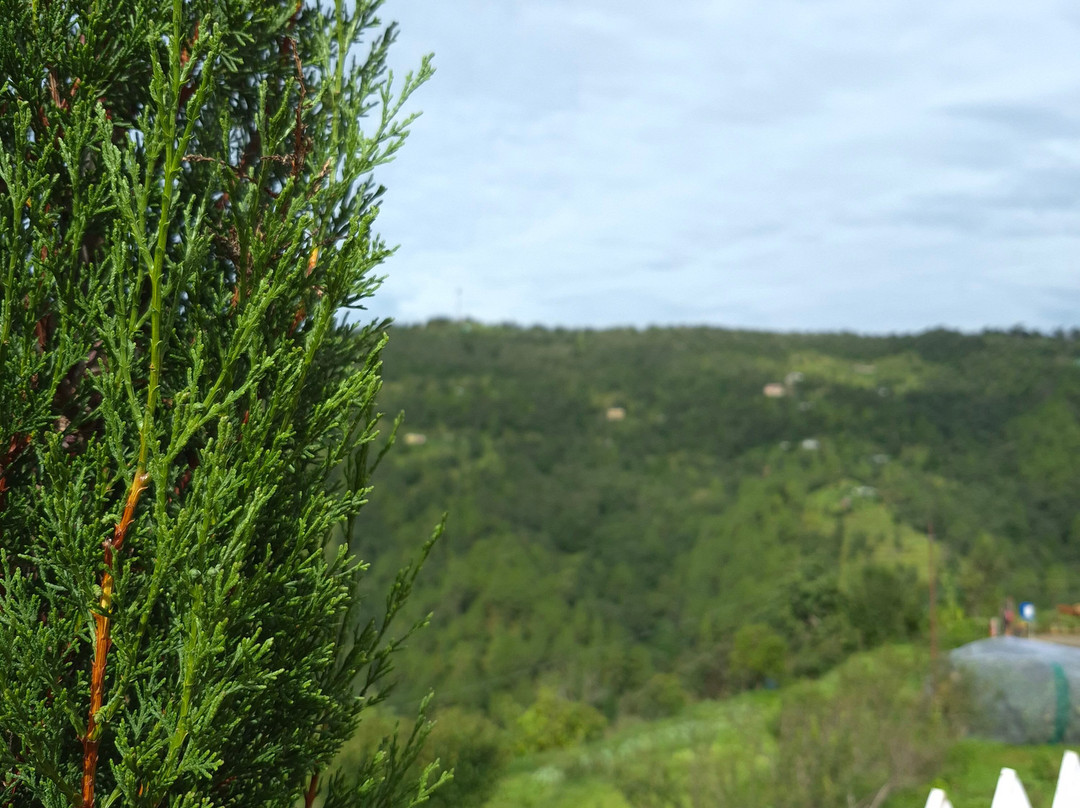 Vanprastha Resorts主图