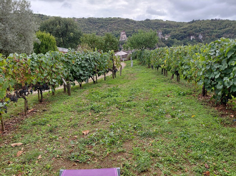 Hotel-Spa Le Saint Cirq主图