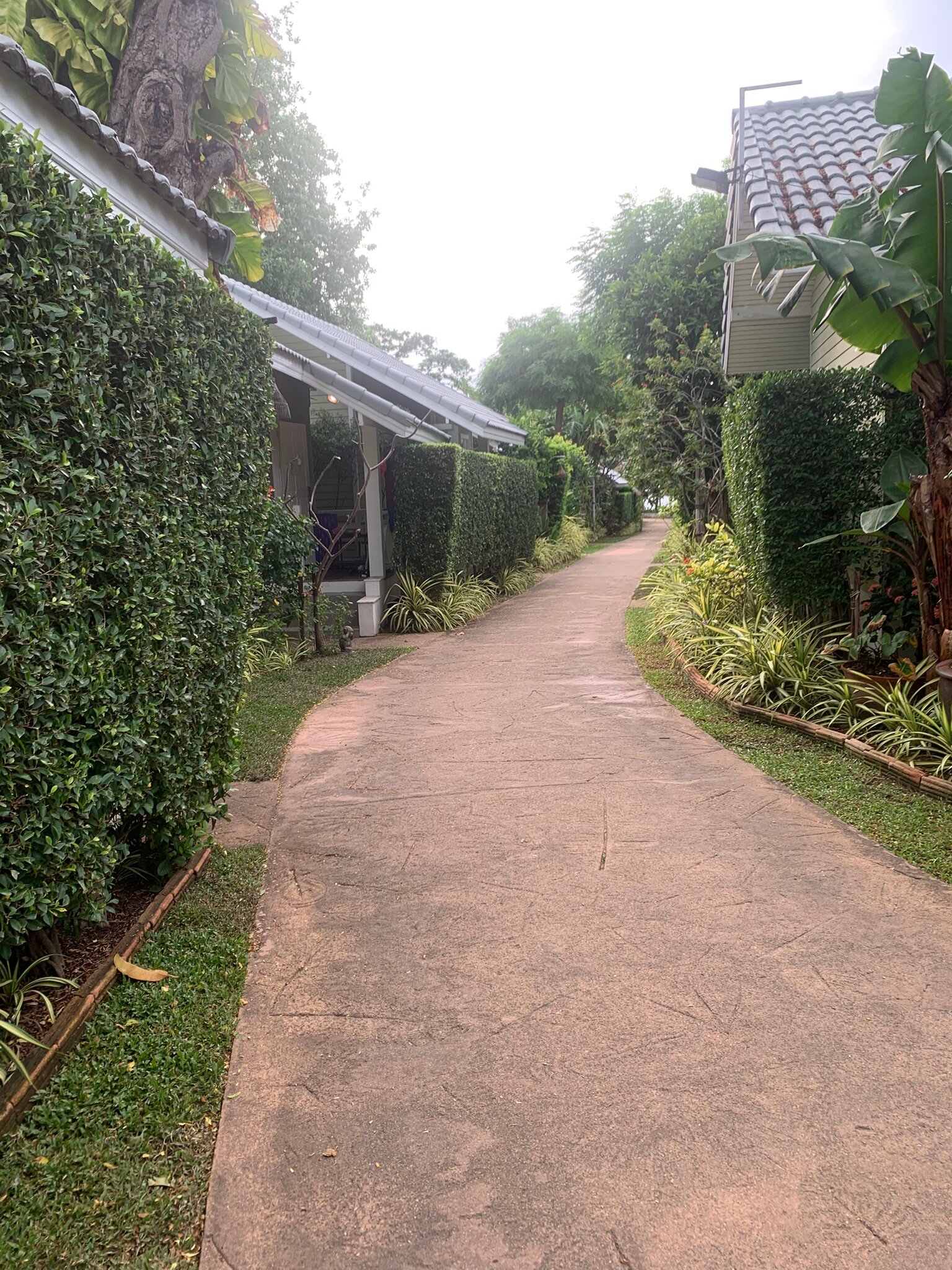 国王花园度假村-官方