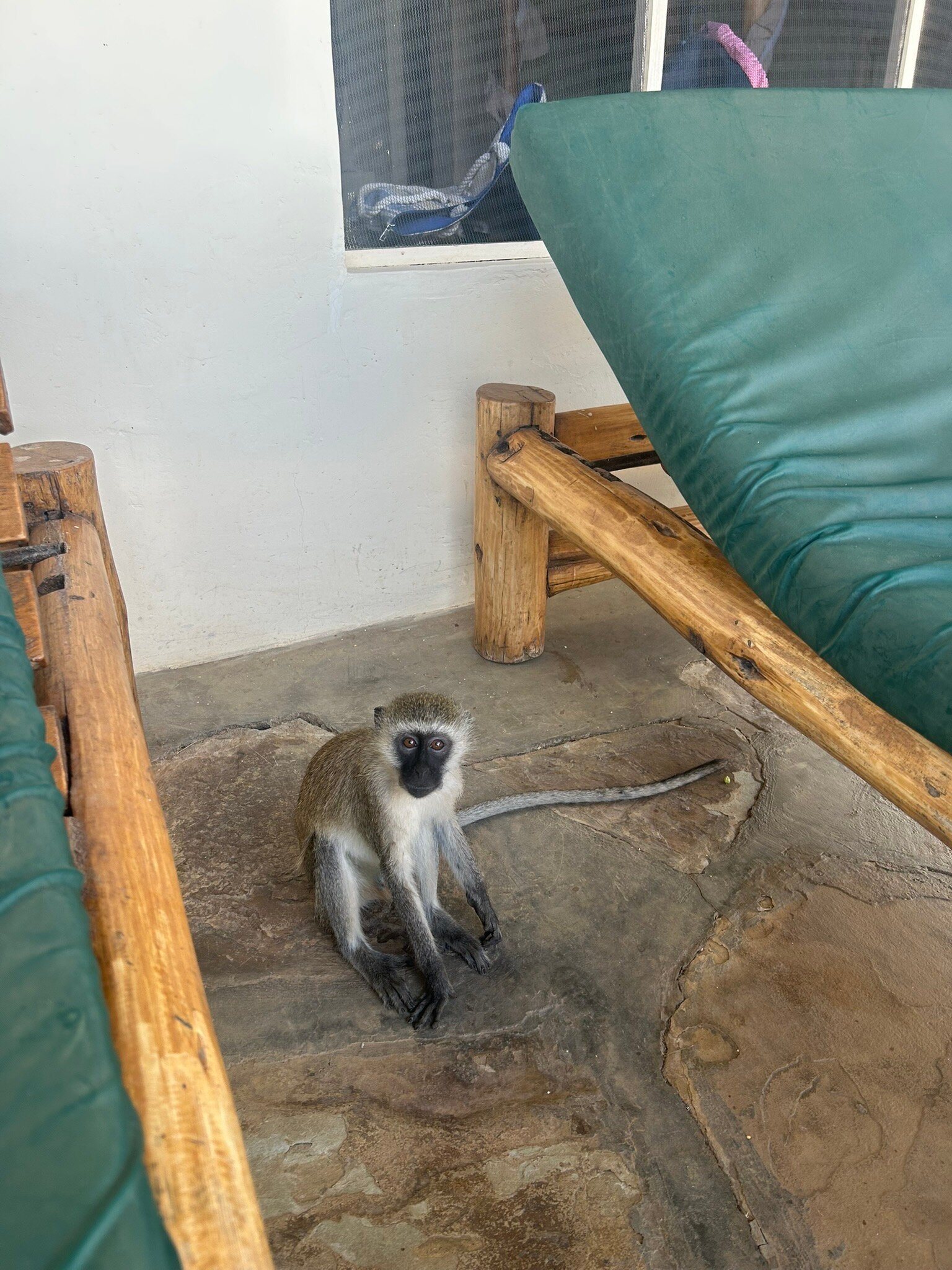 Jumbo Resort Watamu-官方