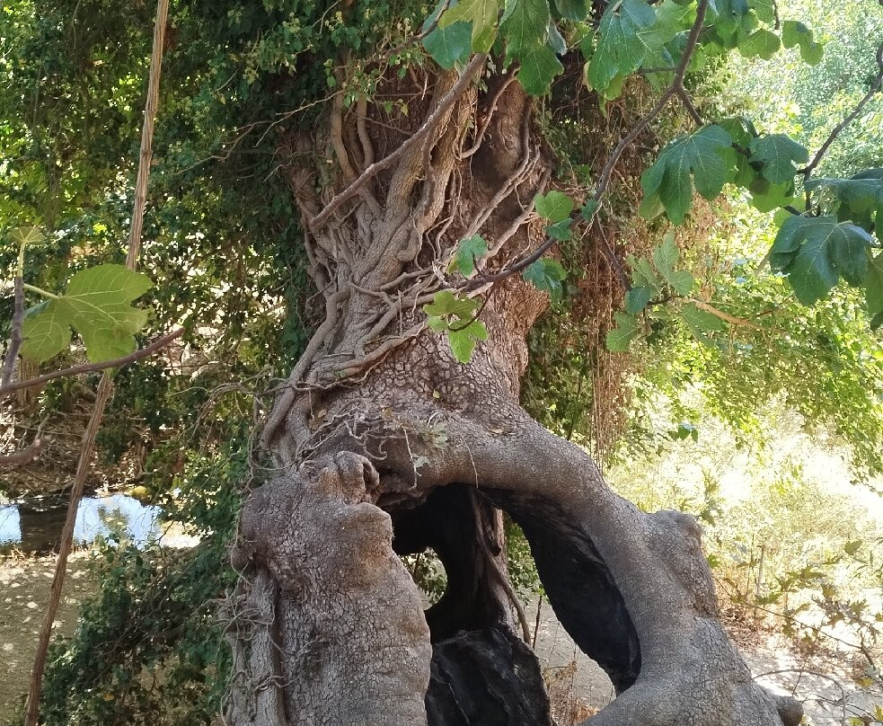 Cascadele Theologos-Theológos必去景点