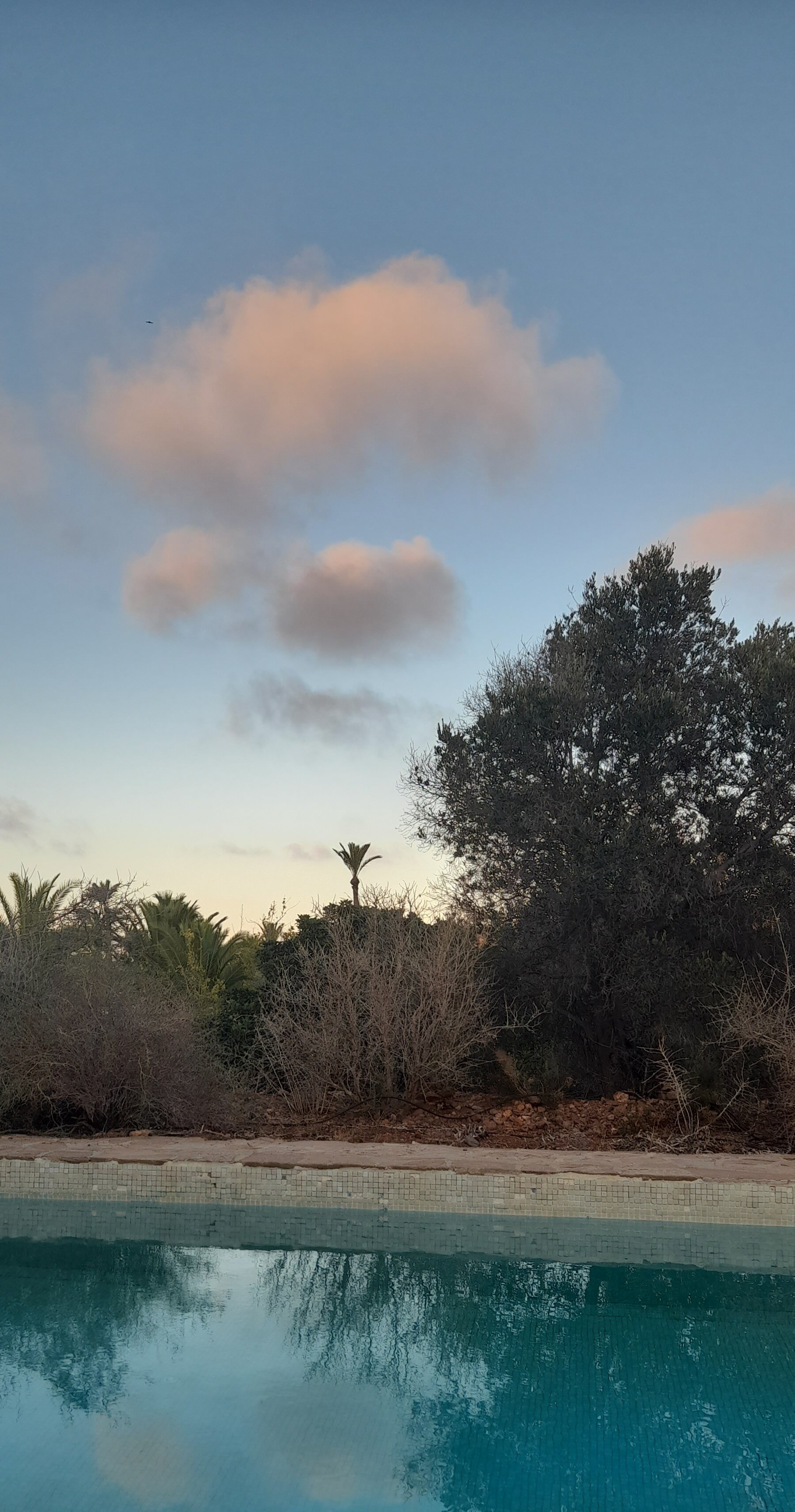 El Jardin De Los Suenos-泳池