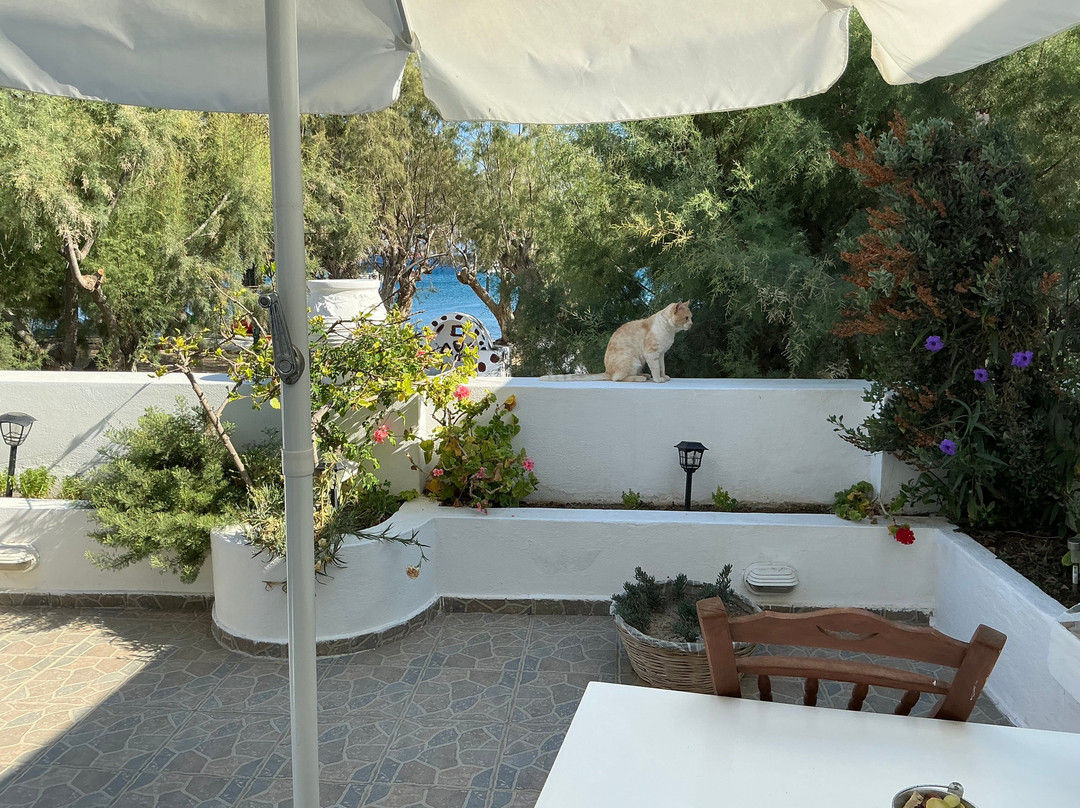 Livadia酒店住宿-Maganas Hotel