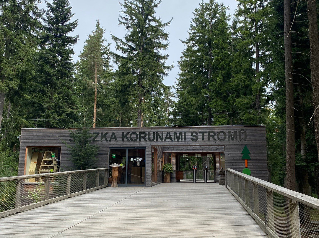 Treetop Walkway-利诺纳佛塔沃必去景点