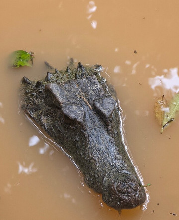 Santy_travelmaker-基多必去景点