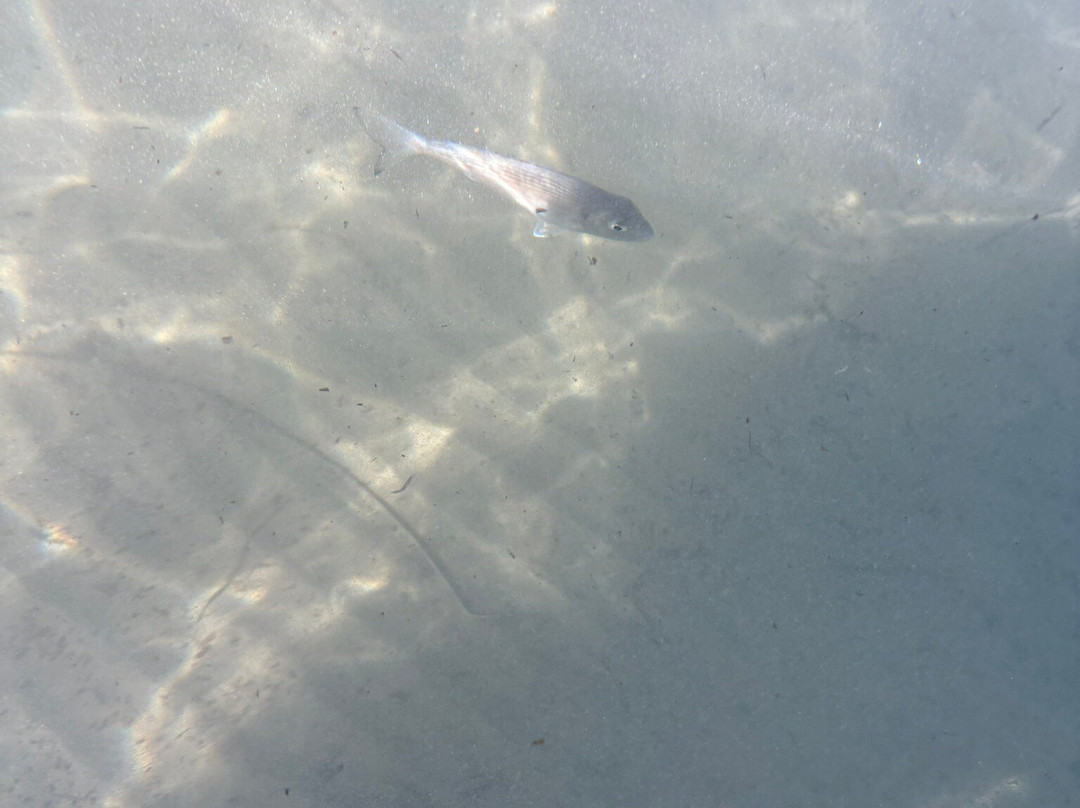 Kavos Beach-Kavos必去景点