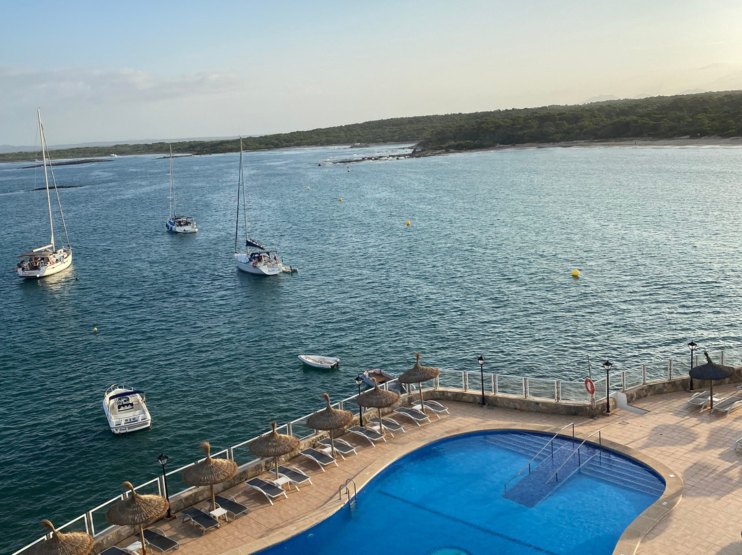 Universal Hotel Marqués主图