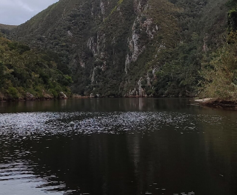Keurbooms Ferries-Keurboomstrand必去景点