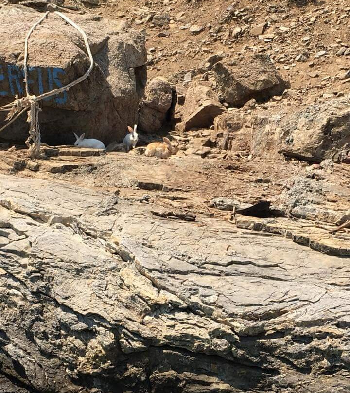 Sarıgerme Water Sports-Sarigerme必去景点