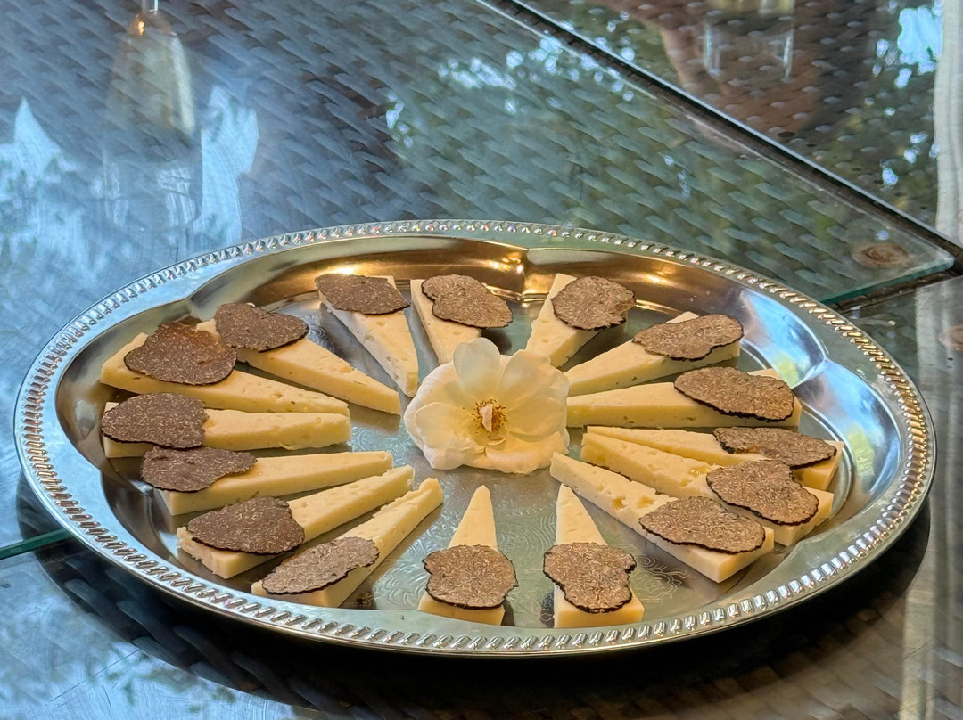 Truffle Hunting at Les Pastras-Cadenet必去景点