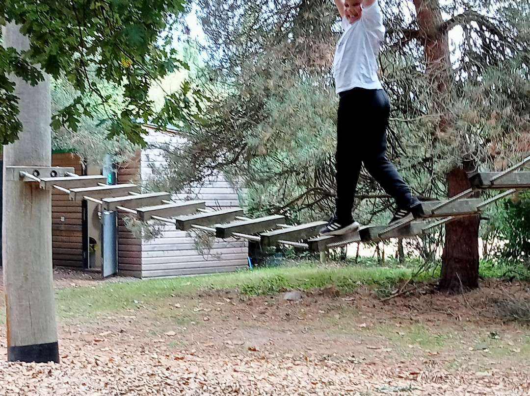 Pensthorpe-Fakenham必去景点