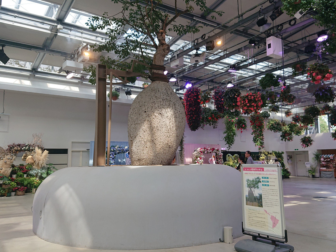 Hana Biyori-稻城市必去景点