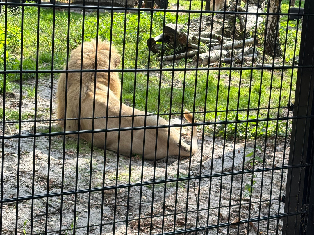 Pakawi Park-Olmen必去景点