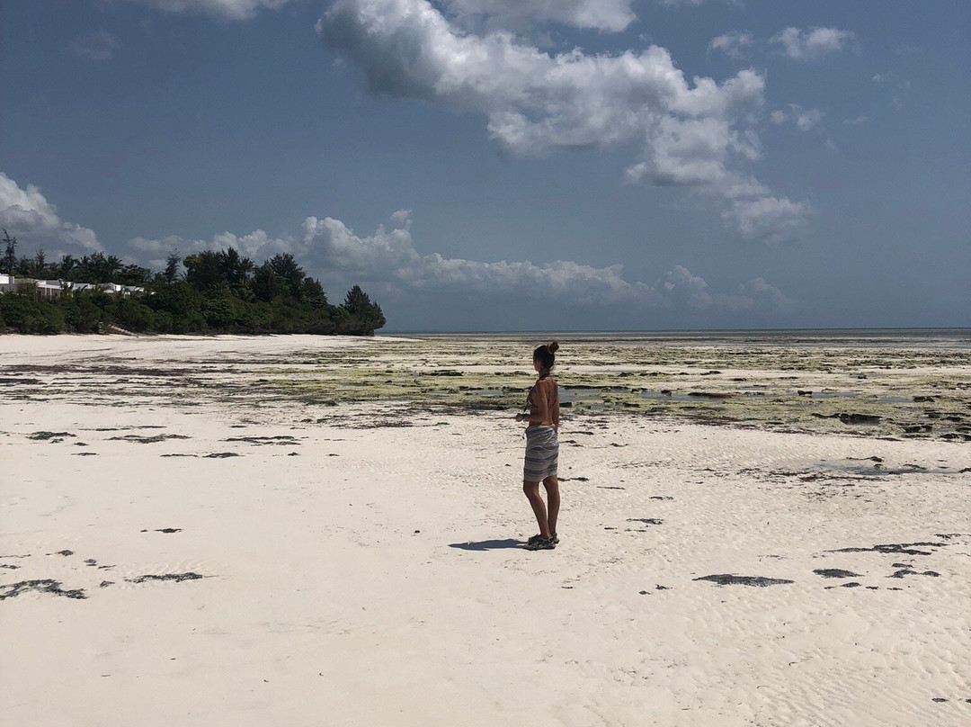 Michamvi Beach-米查维必去景点