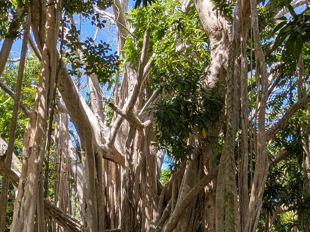 Home The Residence主图