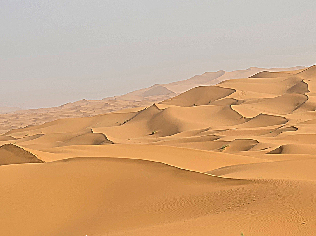 Go Marruecos Travel Tours-丹吉尔必去景点