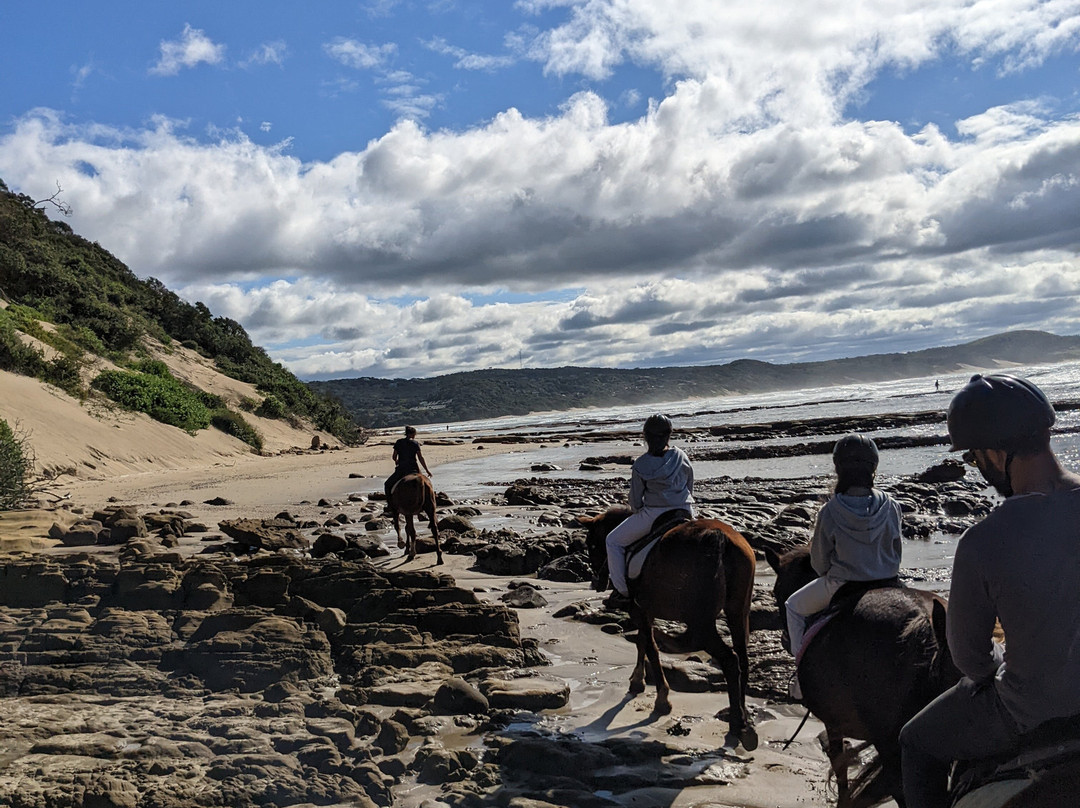 Cintsa Horses-Chintsa West必去景点