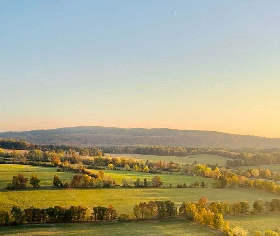 Liberty Balloon Company-Groveland必去景点