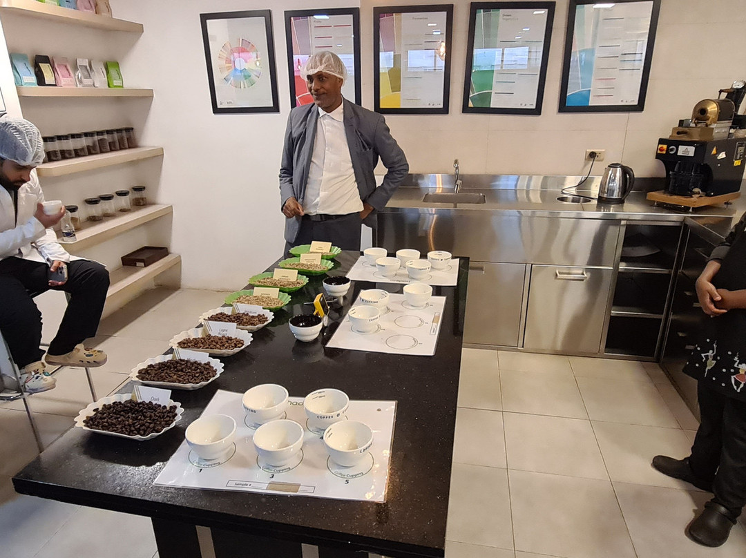 Addis Tour Guide-亚的斯亚贝巴必去景点