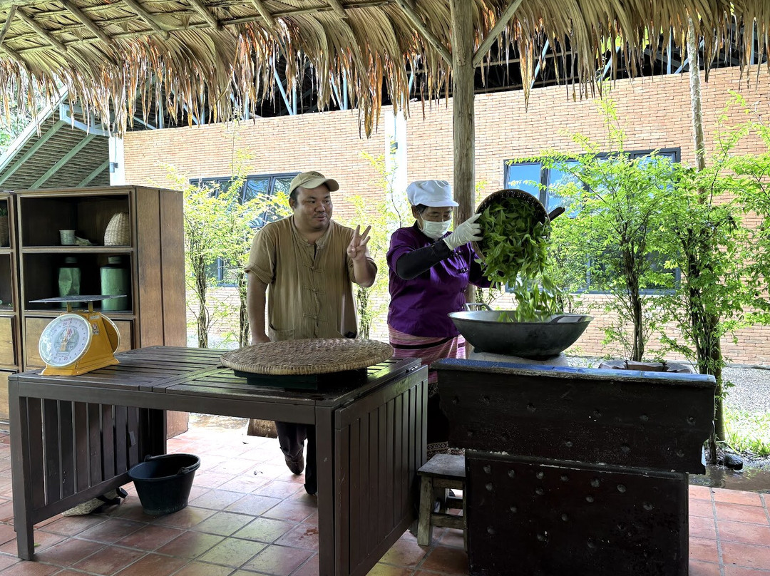 Araksa Tea Plantation - Day Tours-清迈必去景点