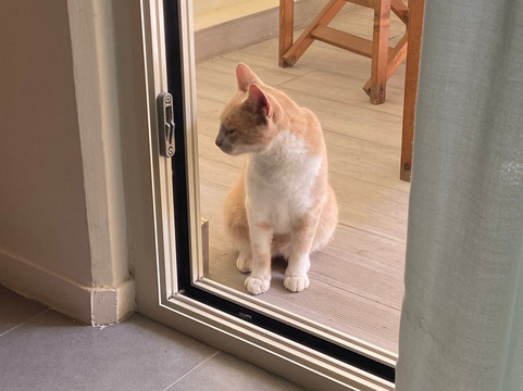 卡波湾酒店主图