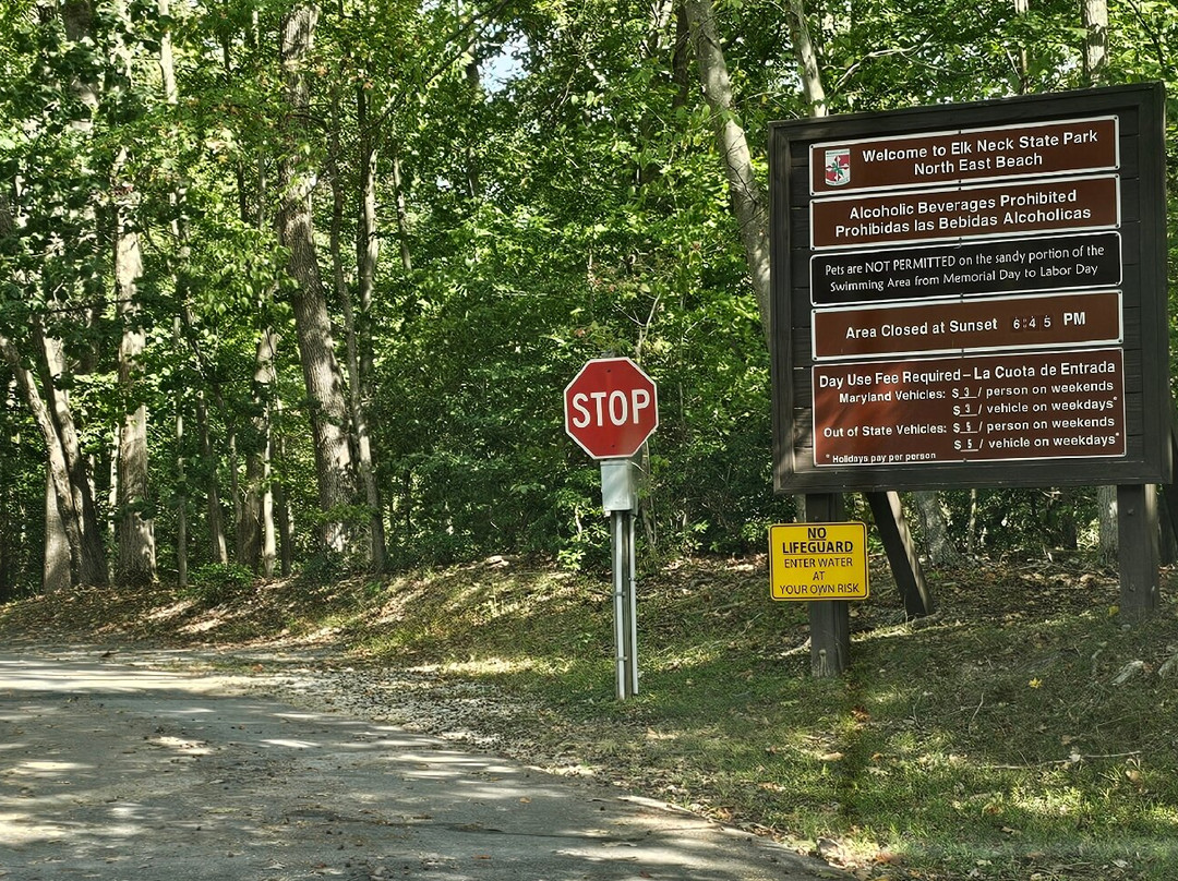North East Beach-North East必去景点