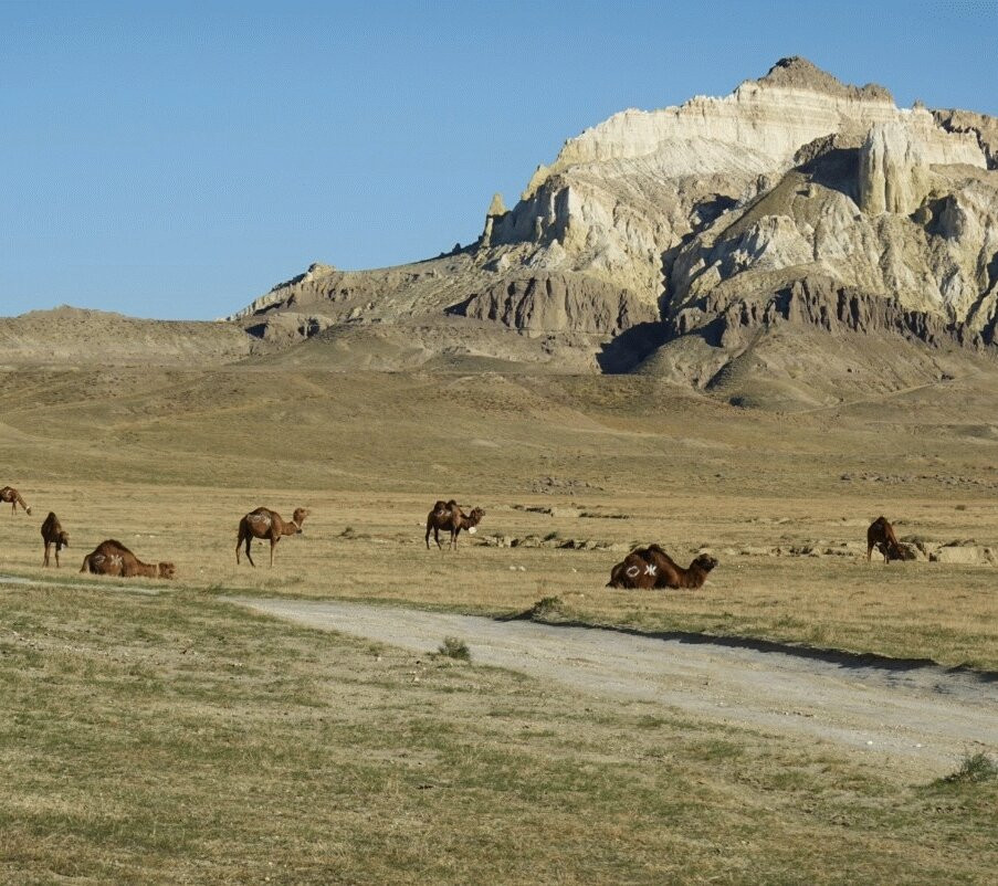 RedMaya Travel-Mangystau必去景点