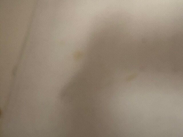 Maritime Inn Antigonish主图