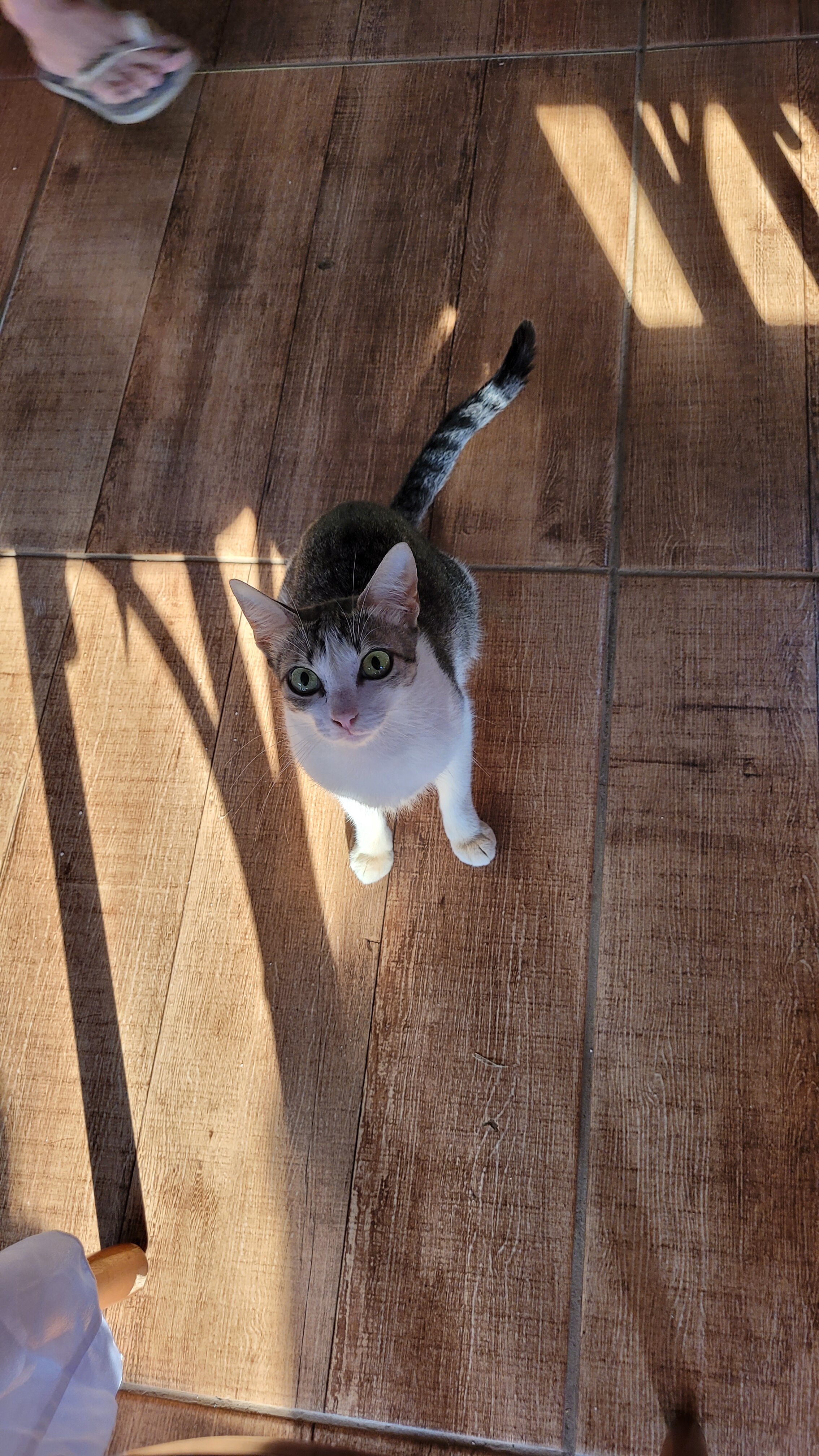 Pousada Café da Mata-浴室