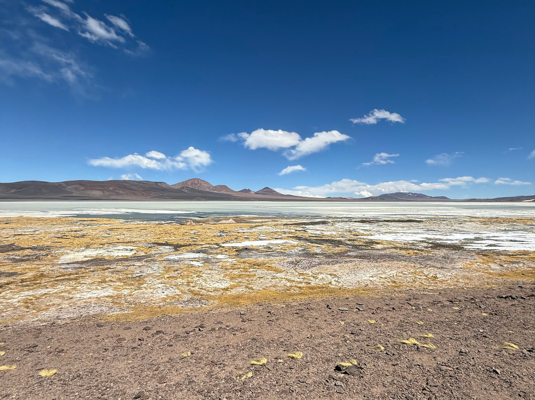 Laguna Brava-null必去景点