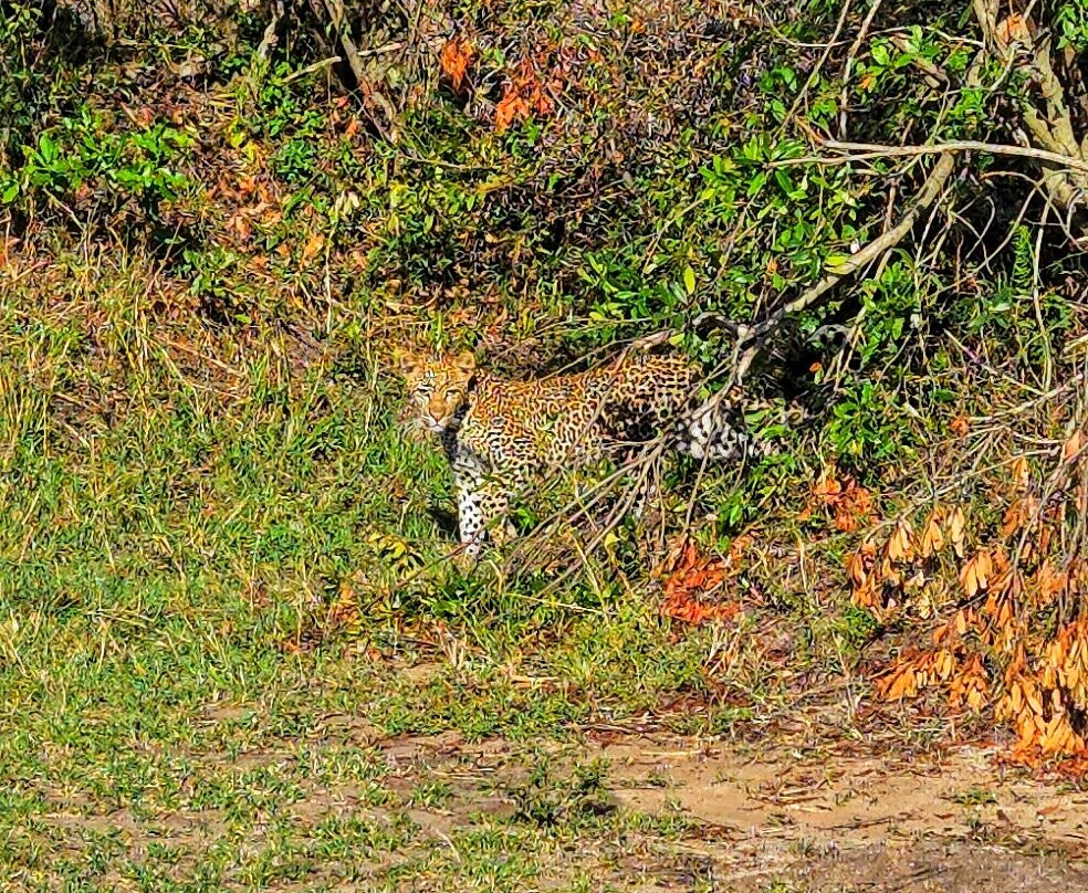 Shanjoy Tours and Safaris-Kikuyu必去景点