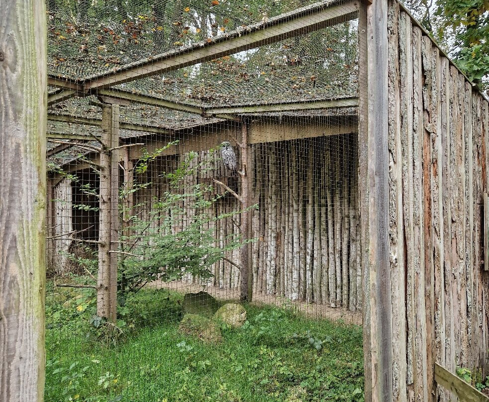 Wildpark Eekholt KG-Grossenaspe必去景点