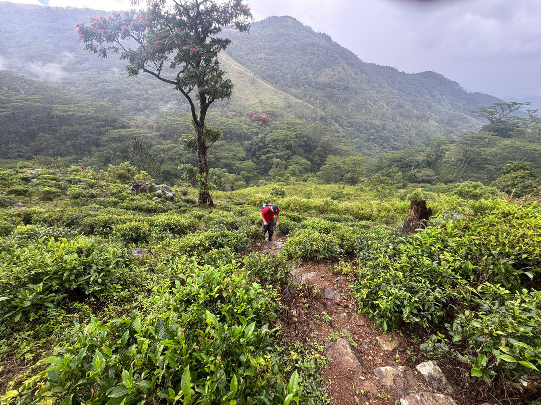 Nipuna Knuckles Trekking-康提必去景点