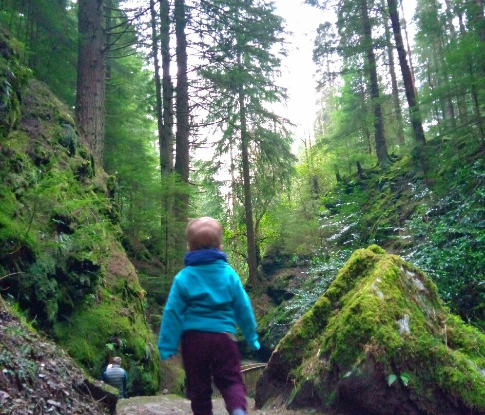 Puck's Glen-Benmore必去景点