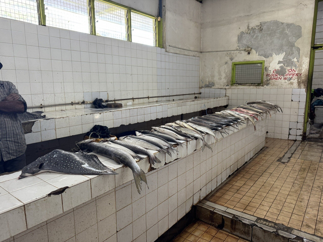 Rosie Holidays Fiji-纳迪市必去景点