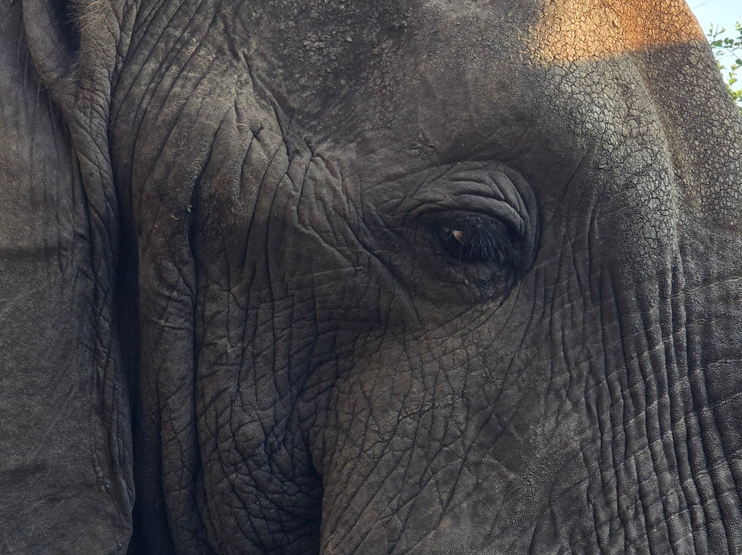 BUGOLI ADVENTURES LIMITED-卡巴莱必去景点