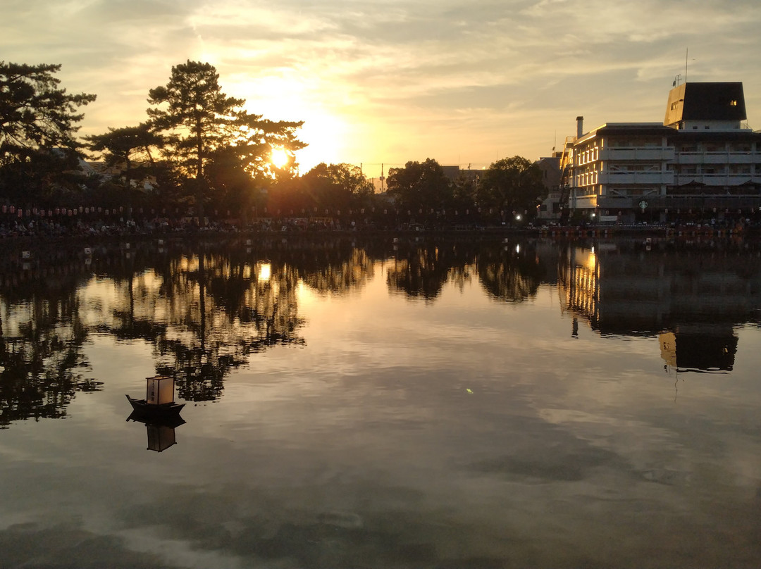 Sarusawa Pond-奈良市必去景点