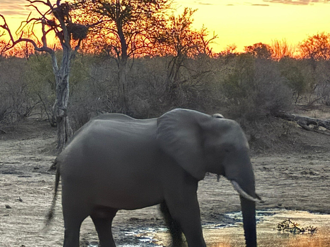 Thabamati Luxury Tented Camp主图