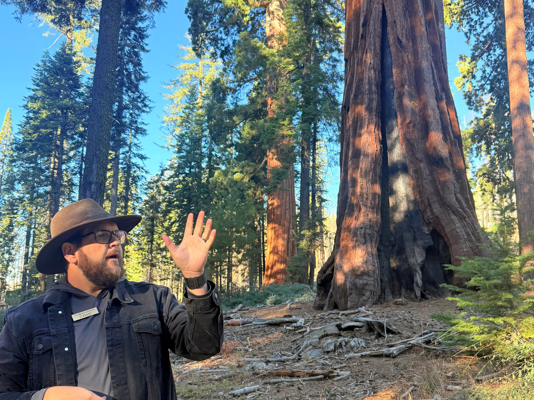 约塞米蒂发现之旅-奥克赫斯特必去景点