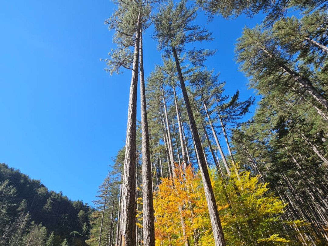 TREKKING HELLAS-Kranea必去景点