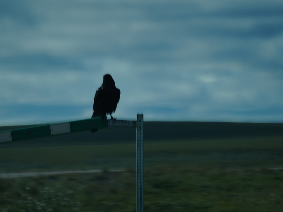 James Dalton Highway-费尔班克斯必去景点