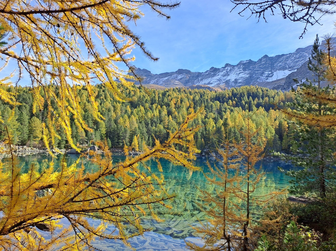 Lago Di Saoseo-Poschiavo必去景点