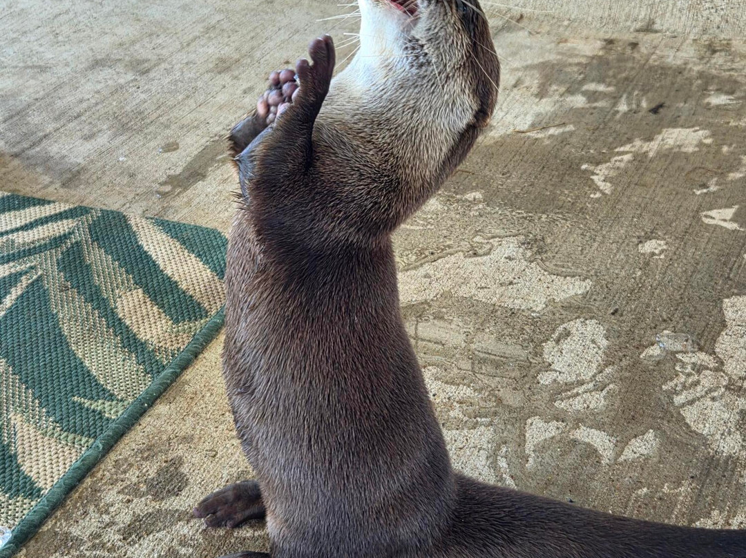 Blue Hills Ranch-McGregor必去景点