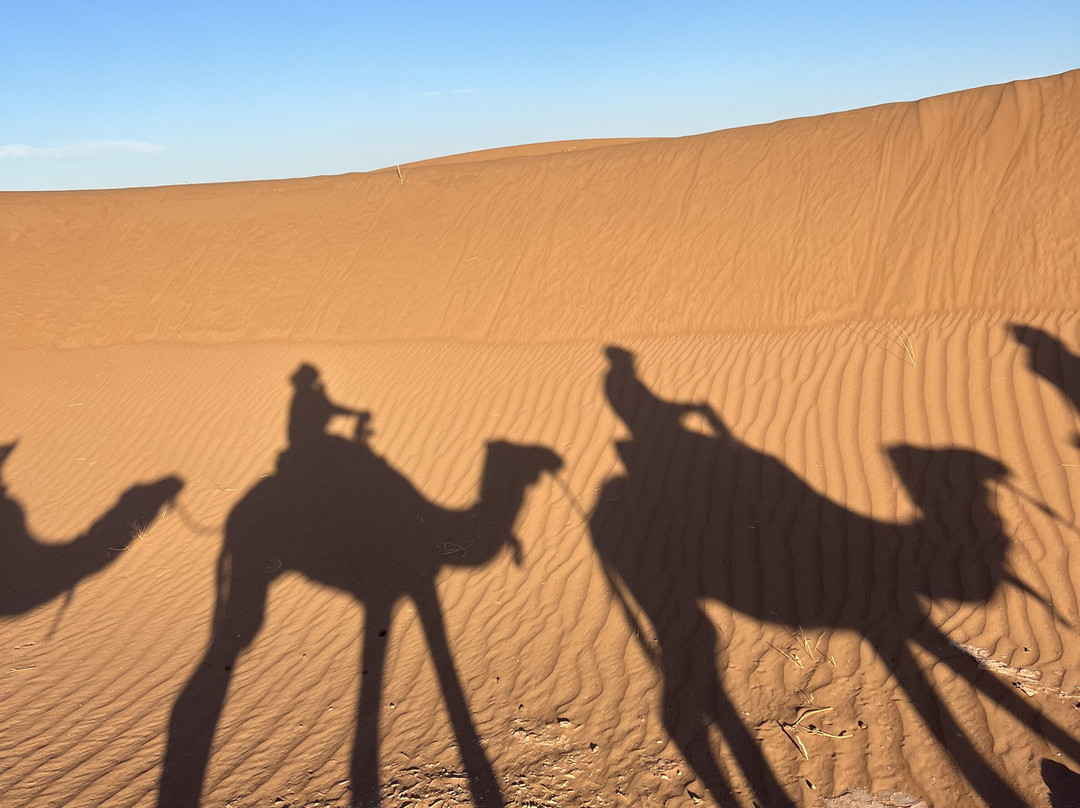 Sahara Relax-扎古拉必去景点