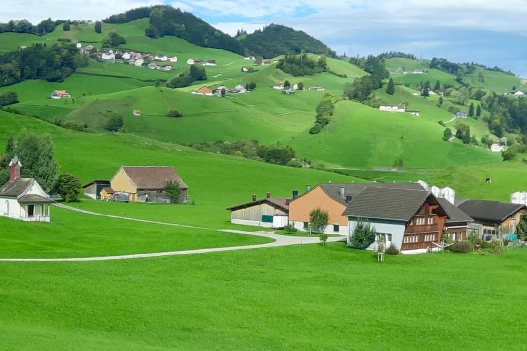 Erwin Tours of Switzerland-苏黎世必去景点