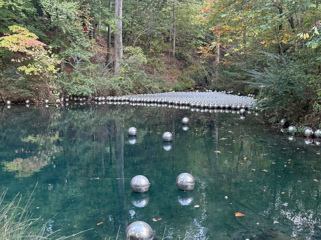 Frank Lloyd Wright's Bachman-Wilson House-本顿维尔必去景点