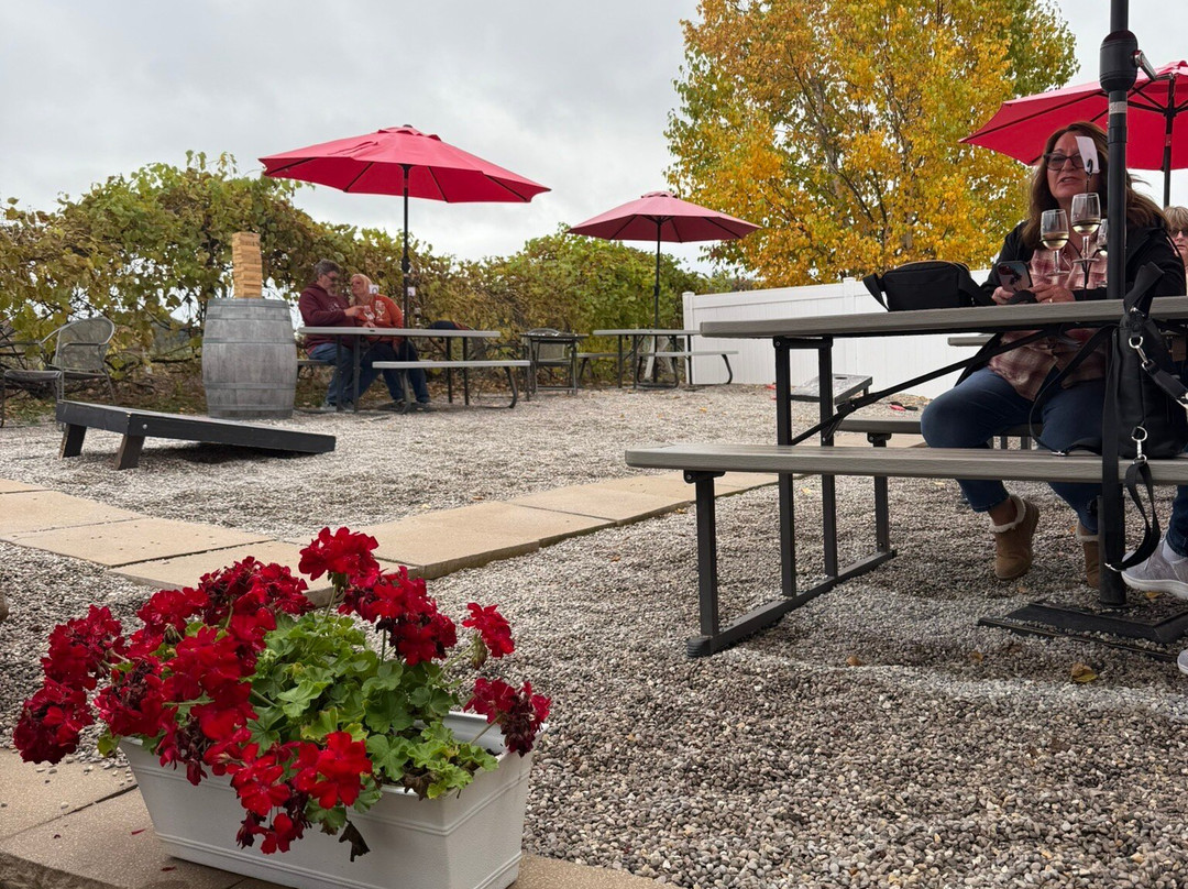 Tabone Vineyards-特拉弗斯城必去景点